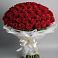Букет 101 Красная роза Блэк Мэджик в Куруше