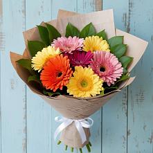 Букет цветов из:  Герберы #REPLACE_PRED# Куруше