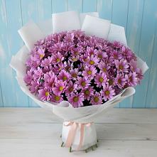 Букет цветов из:  Хризантемы в Куруше