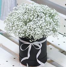 Цветочная композиция из Гипсофила в шляпной коробке в Куруше