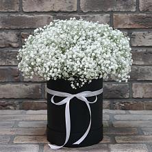 Цветочная композиция из Гипсофила в шляпной коробке в Куруше