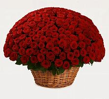 Премиум букет из: Розы в Куруше